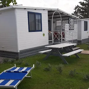 Mare Camping